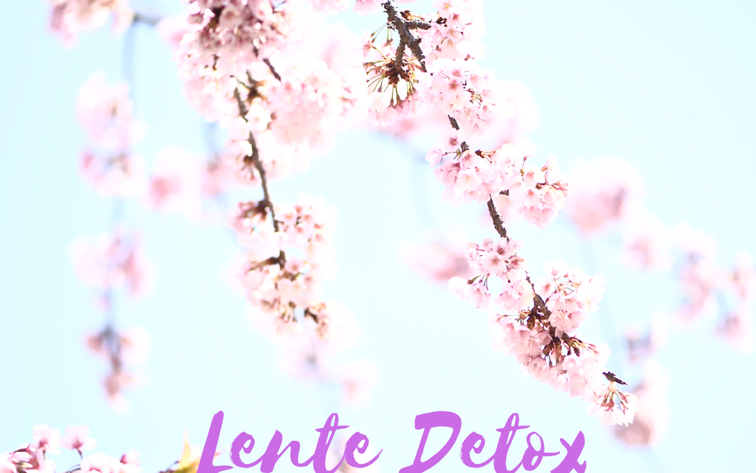 Lente detox arrangement