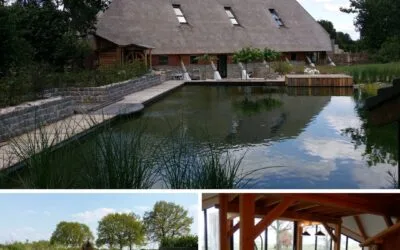 Wellness Weekend